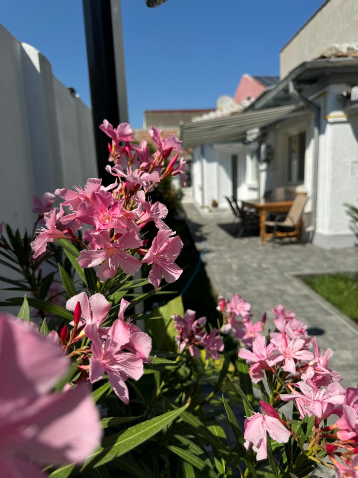 Nord 22 Villa Konstanca Kültér fotó
